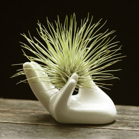 Garden Ornaments Air Plant Ceramic Hand Tabletop Tillandsia Holder Miniature Gardening Decoration ► Photo 1/6