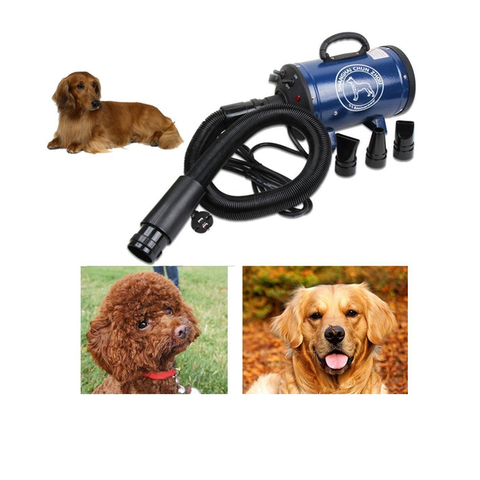 Dog Grooming Dryer Cheap Pet Hair Dryer Blower 220v/110v 2400w Eu Plug Pink Blue Color BS-2400  ► Photo 1/6