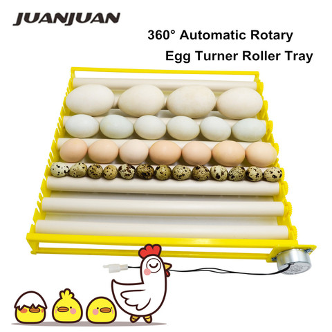 360° Automatic Rotary Egg Turner Roller Tray Eggs Incubator Accessories Roller Pattern Egg Turner Tray 42/56/156 eggs ► Photo 1/1