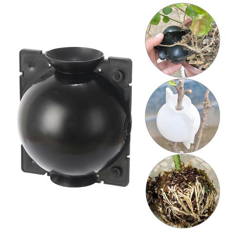 Plant High-Pressure Breeding Ball Large Medium And Small Trees Grafting Rooting Device agricultural Gardening Planting Supplies ► Photo 1/6