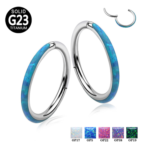 G23 Titanium Hinged Segment Rings Hoop Opal Nipple Clicker Septum Ear Cartilage Tragus Helix Lip Piercing Nose Ring Jewelry ► Photo 1/1