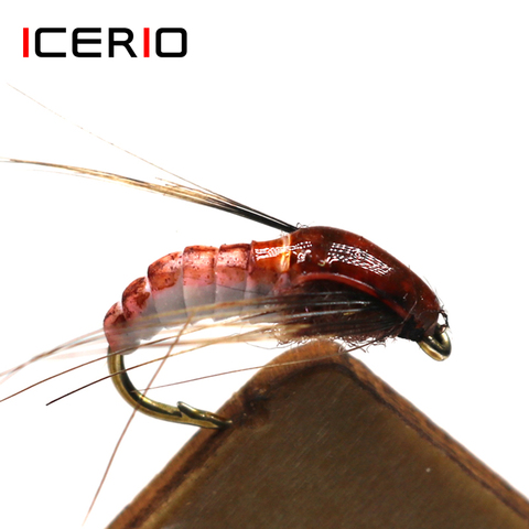 ICERIO 6PCS Realistic Nymph Scud Fly for Trout Fishing Fly Tying Artificial Lure Baits #12 ► Photo 1/4