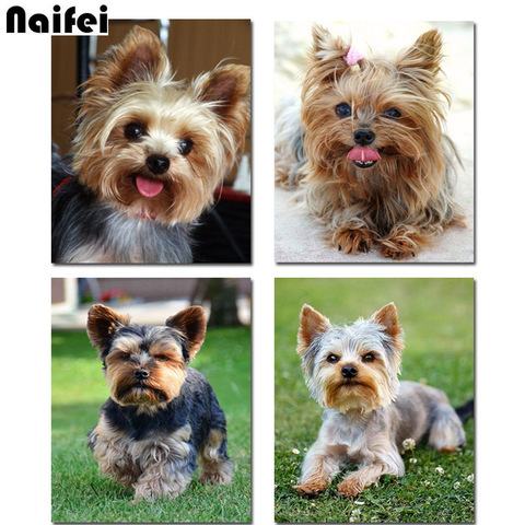 diy Diamond Painting Yorkshire Terrier Cross Stitch Full Kits 5D Diy Diamond embroidery dog square/round Drill Home Decor  Gift ► Photo 1/6