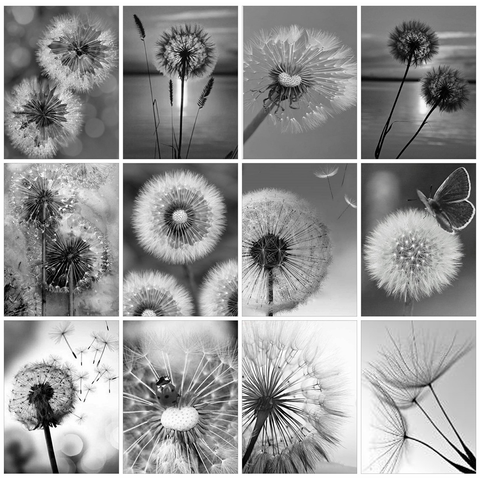 Huacan Diamond Painting Kit Flower Handmade Gift Embroidery Black And White Dandelion Living Room Wall Decoration ► Photo 1/6