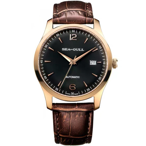 Man Watch Seagull D519.438 Movement ST2130 Automatic Mechanical Classic Leather Waterproof Sapphire Crystal Men's Watch 2022 ► Photo 1/6