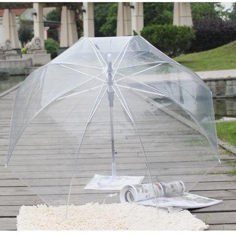 Color Transparent Leaves Cage Sunny Umbrella Rain Umbrella Parasol Women Semi-automatic Umbrellas Clear ► Photo 1/6