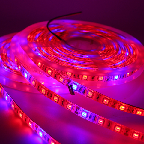 DC12V Full Spectrum Led Grow Strip Light Red +Blue Growing Lamp Waterproof IP65/IP20 For Hydroponics Flowers Plants Vegetables ► Photo 1/6