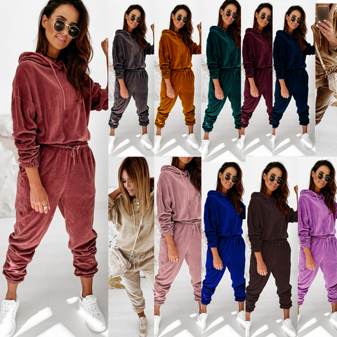 Two Piece Set Women Tracksuit Velour Women Velvet Set Woman Tracksuit Sets Winter Top & Pants Velvet Suit Conjuntos De Mujer ► Photo 1/6