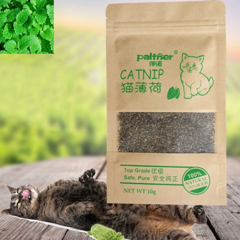 1pcs Natural Premium Catnip Menthol Organic Funny Cat Toys 10g Flavor 100% Cattle Grass Snacks Catnip Pet Supplies Kitten Cat ► Photo 1/6