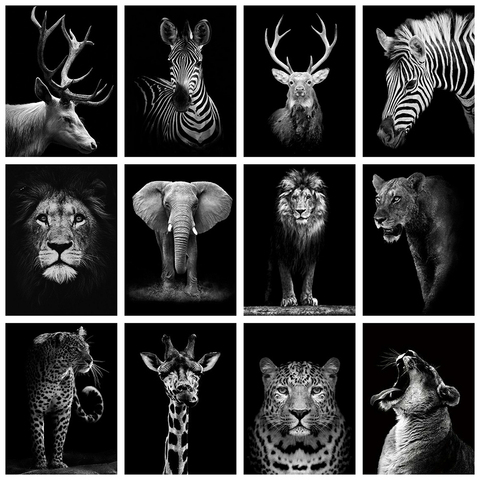 Evershine Black White Diamond Painting Full Square Drill Cross Stitch Animal Diamond Embroidery Sale Mosaic Crafts Kit ► Photo 1/6