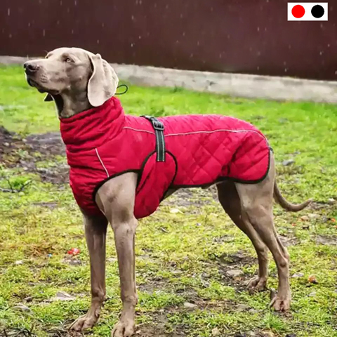 Dog Outdoor Jacket Waterproof Dog Clothes Vest Winter Warm Cotton Dogs Clothing for Large Middle Dogs  Labrador red black ► Photo 1/6