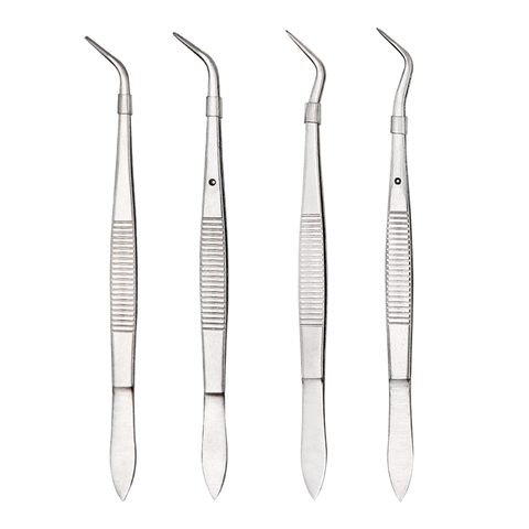 4pcs/set Stainless Steel Dental Surgical Tweezers Pincers Serrated Curved Tweezer Forceps Teeth Whitening Dentist Tools ► Photo 1/6