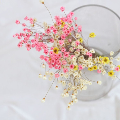 Mini Natural Dried Flower Bouquet Creative Flowers Bouquet Props Wedding  Sup-KE