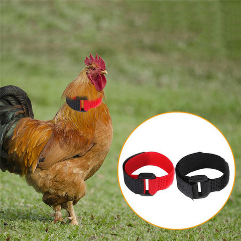 Rooster Noise-Free Anti-Hook Neckband Collar 2pcs Rooster Neck Collar Supplies Nylon Collar Rooster Supplies ► Photo 1/6