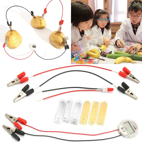 Potato Fruit Biologia Energy Generate Electricity Science Experiment Educational Toys For Children Kids School Electric STEM Kit ► Photo 1/6