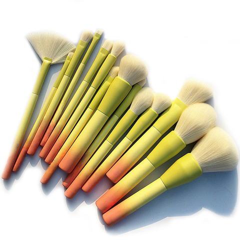 Pro Gradient Color 14pcs Makeup Brushes Set Soft Cosmetic Powder Blending Foundation Eyeshadow Blush Brush Kit Make Up Tools ► Photo 1/5