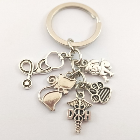 1pair Vet Keyring Silver Stethoscope Animal Charms Animal Dog Cat Nurse Key Chains Veterinary Jewelry Gift ► Photo 1/3
