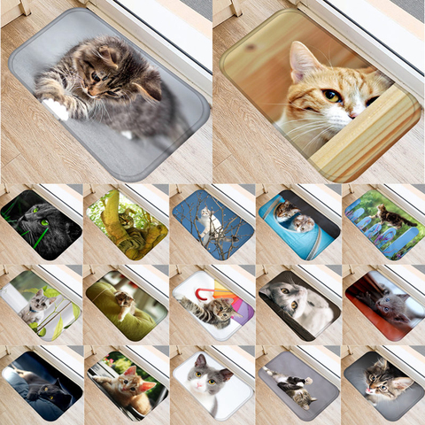 1pcs 40*60cm Cute Cat Animals Pattern Anti-Slip Suede Carpet Door Mat Doormat Outdoor Kitchen Living Room Floor Mat Rug 48306 ► Photo 1/6