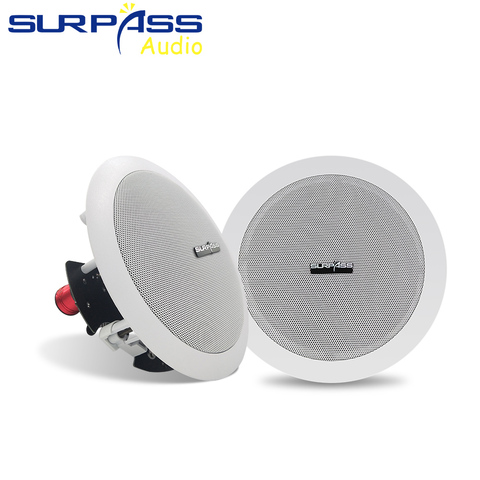 Powered WIFI Active and Passive Speaker Subwoofer Coaxial Tweeter Horn Wired Ceiling Speaker In Pair For Home, Hotel Use ► Photo 1/6