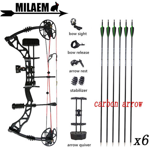 KAIMEI QIN Archery 30-70lbs Compound Bow And Arrow Set Carbow Arrow IBO329FPS 85%Labor Saving Ratio Shooting Hunting Accessories ► Photo 1/6