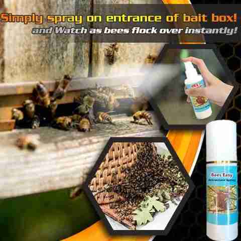 1pc Bee Easy Attractant Spray 60ml Lure Bait Honey Hive Attract Colony Pots Trap Honey Bee Beekeeping Tool ► Photo 1/6