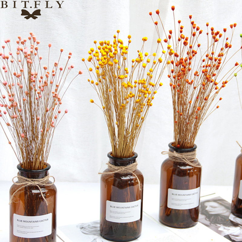 Mini Decorative Natural Dried Flowers Real Happy Flower Photo Backdrop Decor