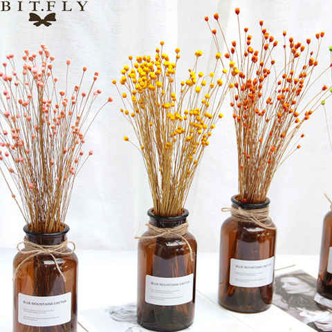 Buy Online 50pcs Real Happy Flower Small Natural Dried Flowers Bouquet Dry Flowers Press Mini Decorative Photography Photo Backdrop Decor Alitools