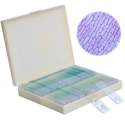 100PCS Professional Glass Slice Prepared Microscope Slides Educational Specimen Human Tissue Sections with Plastic Box ► Photo 1/6