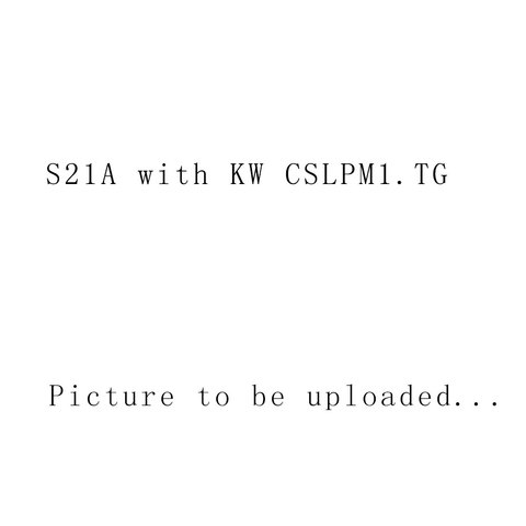 S21A with KW CSLPM1.TG,smooth reflector ► Photo 1/1