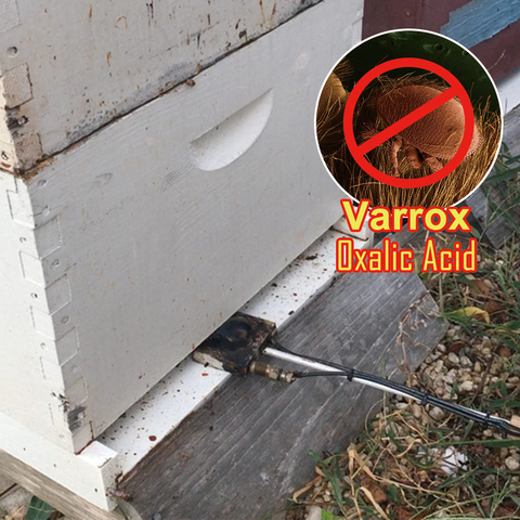 Pure Coopper Vaporizer Bee Keeping Evaporator Oxalic Acid Vaporiser Varroa Mite Treatment Beekeeping Supplies Tools Beekeeper ► Photo 1/6