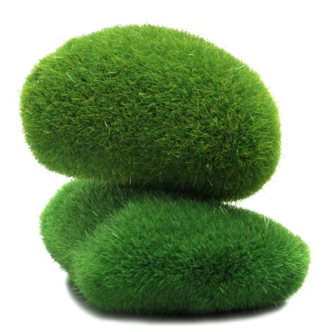 Fish Tank Shrimp Seaweed Ball DIY Marimo Moss Balls Artificial Grass Turf Mini Fairy Garden Micro Terrarium Ornament Decoration ► Photo 1/6