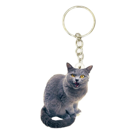 British Shorthairs Cat Acrylic Keyring Animal cute charms Keychain Men Key Chain Ring Boyfriend Gift Gifts for Women Keyring ► Photo 1/1