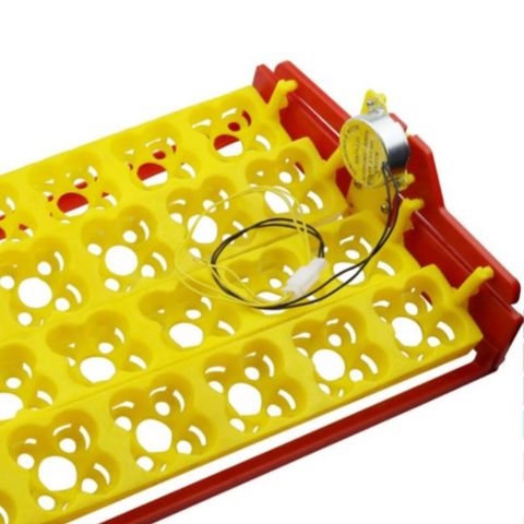 220V Turn The Eggs Tray Incubator Accessories Automatic Incubator Egg Turning Motor For Incubator ► Photo 1/6