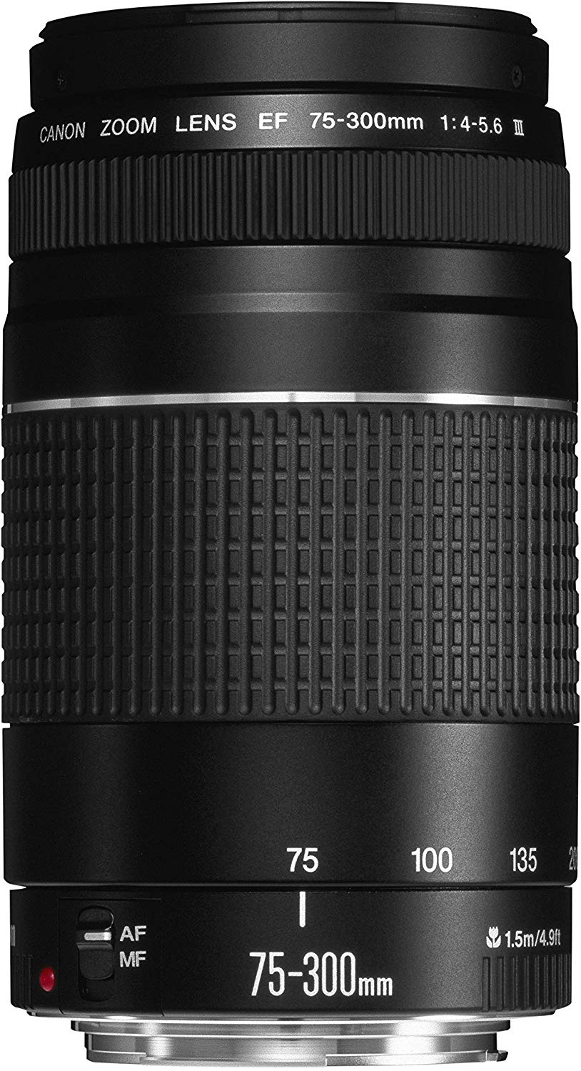 Price History Review On Special Price Used Canon Ef 75 300mm F 4 5 6 Iii Usm Telephoto Zoom Lens For Canon Slr Cameras Aliexpress Seller Digital China Xth Store Alitools Io