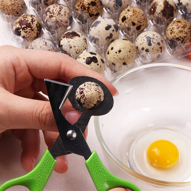 5/10PCS Stainless Steel Quail Egg Cutter Scissors Bird Egg Scissors Shell  Tool Kitchen Clipper Kitchen Accessories - AliExpress