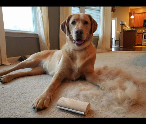 Wood Groom Brush vis LOGO Deshedding Grooming Tool, Professional Pet Wooden Groomer, Ergonomic Design Dog Comb ► Photo 1/6