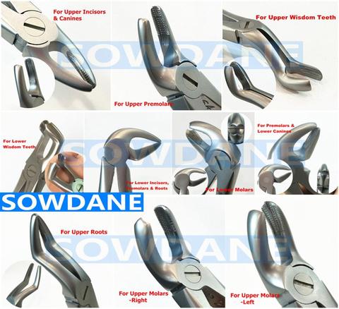 German High Quality Dental Adult Tooth Extraction Plier Forcep Teeth Extraction Plier Forcep Dental Surgical Tool Instrument ► Photo 1/6