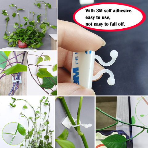 Plant climbing wall Self-Adhesive Fastener Tied fixture Vine Buckle Hook Garden plant wall climbing Vine Clips Fixed Buckle Hook ► Photo 1/6