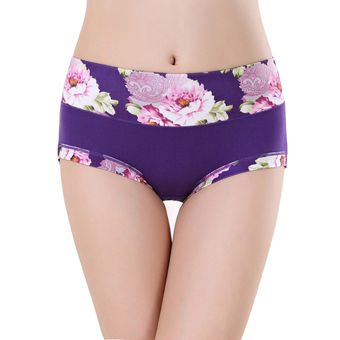 Plus Size Women Underwear Panties Ladies Seamless Sexy Briefs Floral Print Lingerie Calcinhas Intimates Underpants Ropa S-4XL ► Photo 1/6