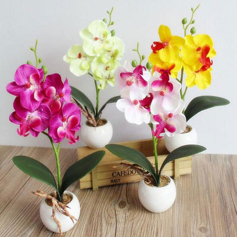 Creative Flowers Fancy Four Butterfly Orchid Meaty Plant Bonsai Flower Arranging Accessories SP99 ► Photo 1/5