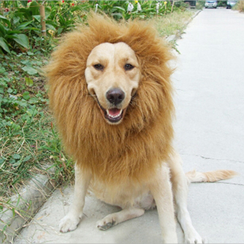 Cute Pet Cosplay Clothes Transfiguration Costume Lion Mane Winter Warm Wig Cat large Dog Party Decoration With Ear Pet Apparel ► Photo 1/6