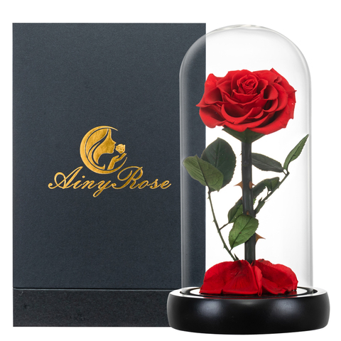 2022 The Beauty and The Beast Fresh Flowers Red Eternal Roses with Light In Glass Dome for Valentine Christmas Gift Dropshiping ► Photo 1/6