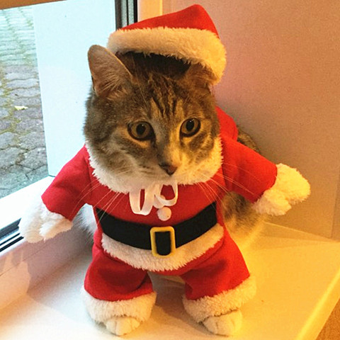 Christmas Cat Costumes Funny Santa Claus Clothes For Small Cats Dogs Xmas New Year Pet Cat Clothing Winter Kitty Kitten Outfits ► Photo 1/6