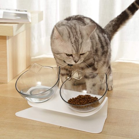 Cat Double Bowl Cat Bowl Dog Bowl Non-slip Food Bowl With Raised Stand Cat Feeding & Watering Supplies Dog Feeder Pet Supplies ► Photo 1/6