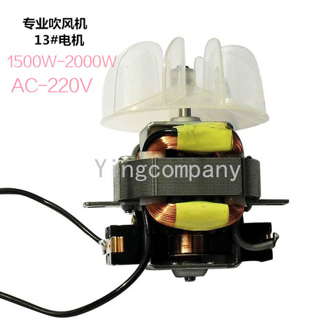 High-power hair dryer motor hair dryer AC motor with fan blade 13# motor hair dryer parts ► Photo 1/2