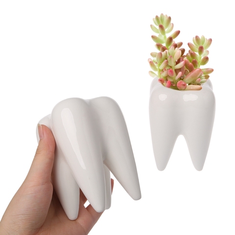 2022 New Tooth Shape Ceramic Flower Pot Green Succulent Planter Cactus Container Decor ► Photo 1/5