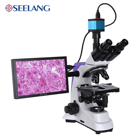 Professional Lab biological HD trinocular microscope zoom 2500X + 16MP electronic digital Camera USB HDMI VAG + 10-inch LCD led ► Photo 1/6