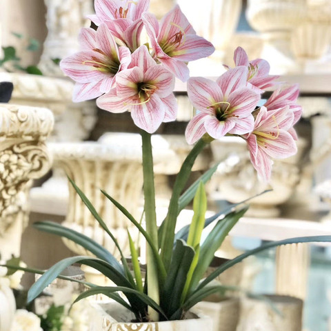 63cm Home European style decoration imitation flower artificial flower Clivia hand felt FLANNEL SILK FLOWER living room floor pl ► Photo 1/5