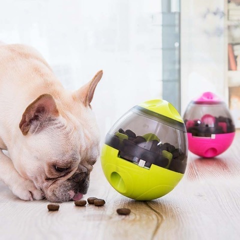 Pet Food Dispenser Dog Cat Tumbler Toys Treat Dispenser Slow Feeder  Increases Small Medium Large Pet IQ Training Toys - AliExpress