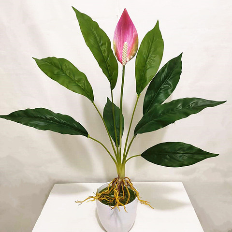 60cm Artificial Rare Anthurium Flower Green Fake Plants Plastic Magnolia Leaf Hotel New Year Home DIY Decor Fake Eternal Flower ► Photo 1/6